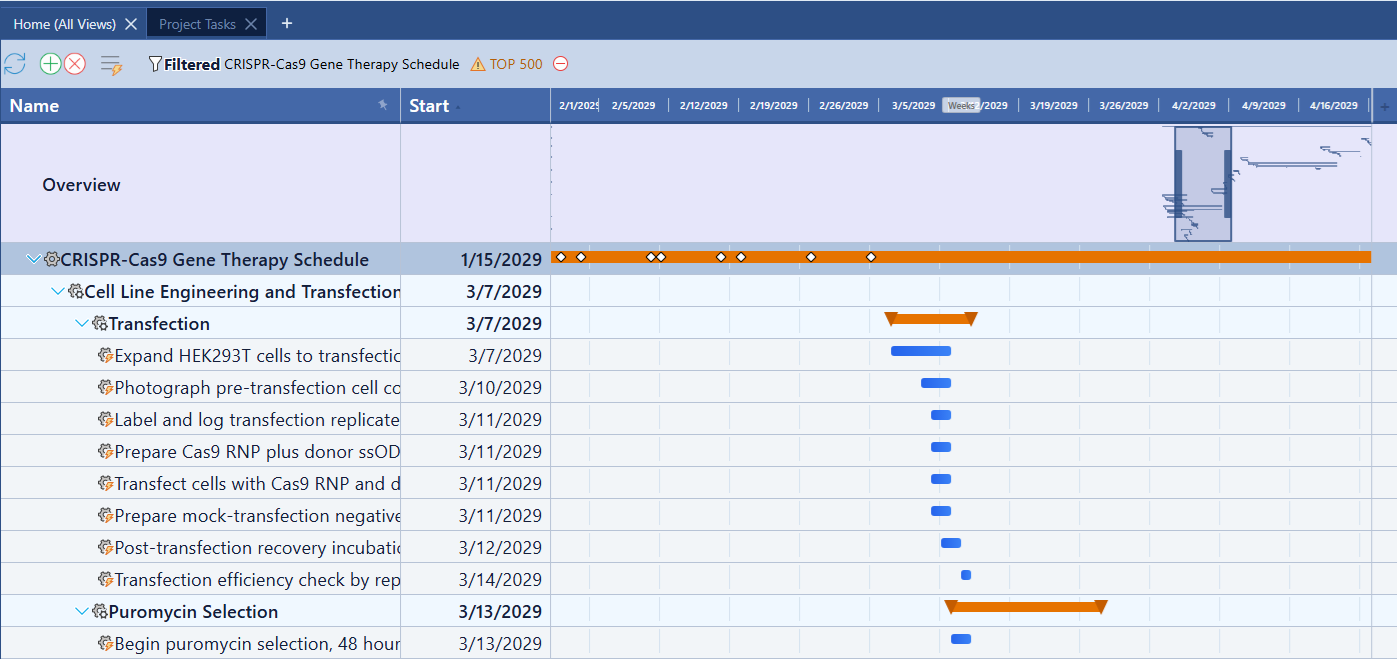 Gantt mini-map overview row frozen at the top of the Project Tasks grid, showing a compressed project timeline with an orange viewport window